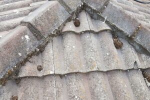 Old tiles - re pointing