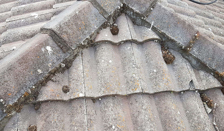 Old tiles - re pointing