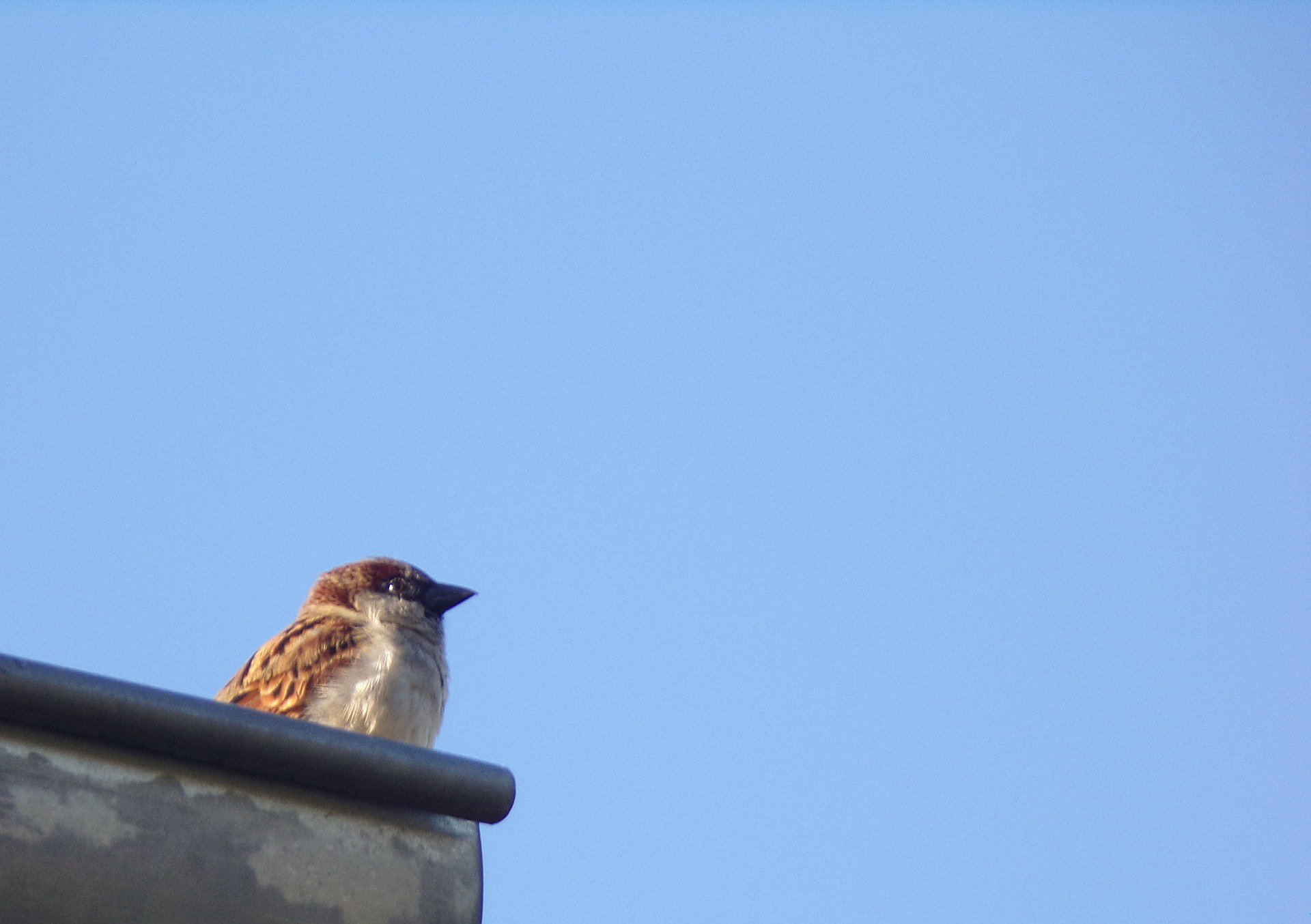 Gutters are the Wrong Size for Your Home