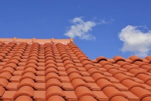 Lovely roof tiles