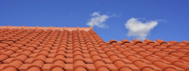 Lovely roof tiles